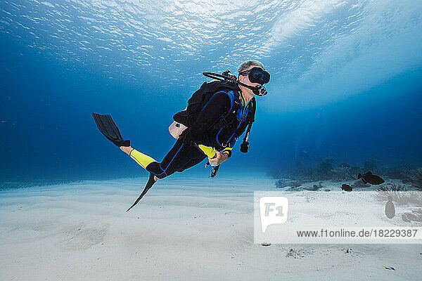 Bahamas  Nassau  Man diving in sea