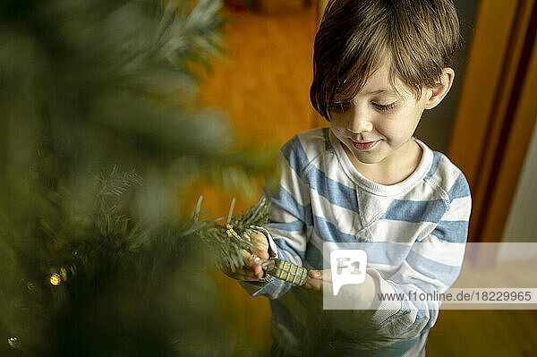Boy standing by Christmas tree at home