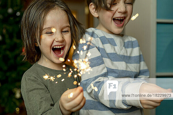 Cheerful brothers holding burning sparkler at home