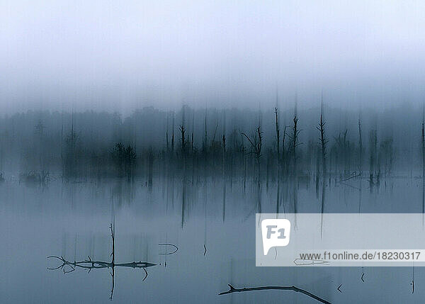 Germany  Baden-Wurttemberg  Fog-shrouded lake in Schwenninger Moos reserve