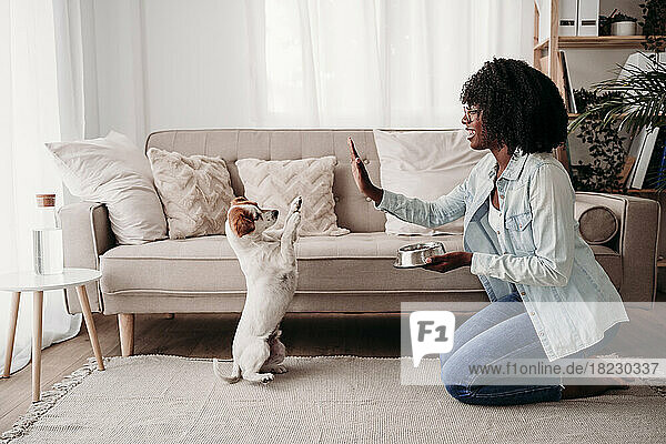 Woman holding bowl giving high-five to dog at home