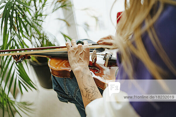 Hands of violinist holding violin in studio