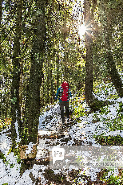Deutschland  Bayern  Wanderin folgt Waldweg auf dem Weg zum Karkopf