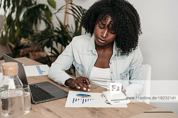 Geschäftsfrau bereitet Daten vor  sitzt am Schreibtisch im Heimbüro