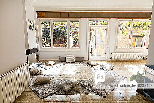 Carpets and pillows arranged on floor at home