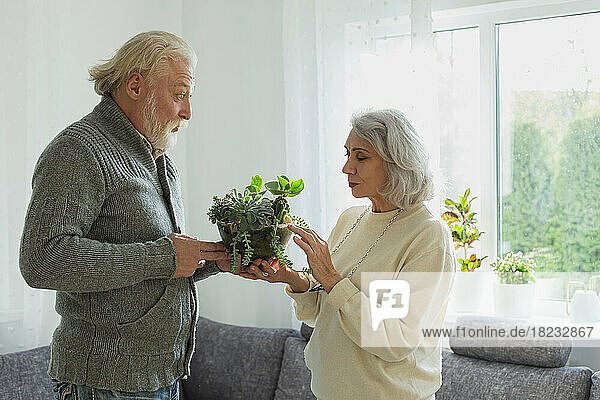 Senior couple taking care of house plants
