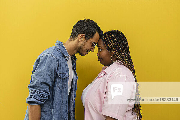 Smiling young couple touching foreheads in front of yellow wall