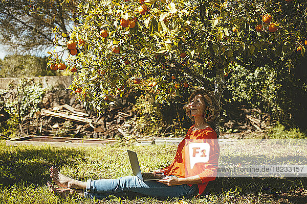 Mature woman sitting with laptop under orange tree