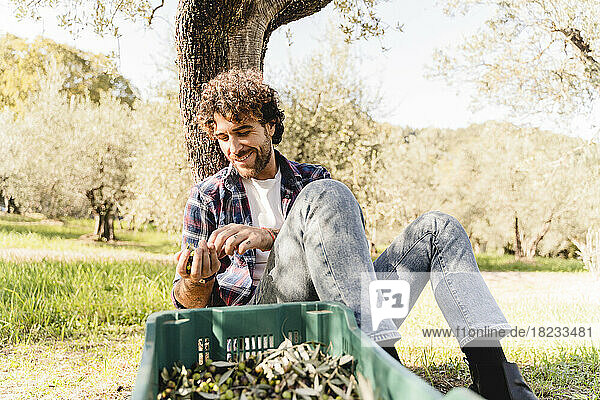 Lächelnder Mann mit Oliven  der sich an einen Baum lehnt