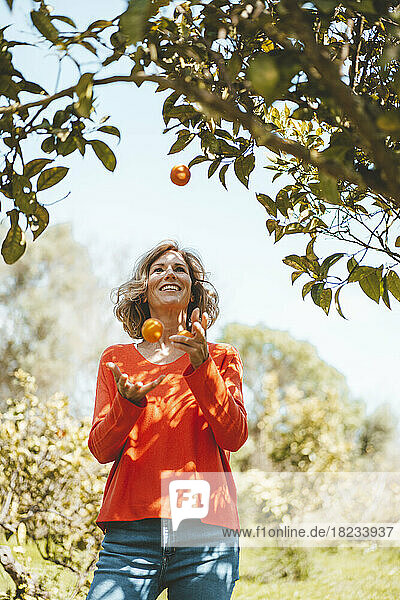 Smiling woman juggling oranges standing by tree