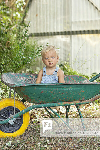 Cute boy in wheelbarrow at garden