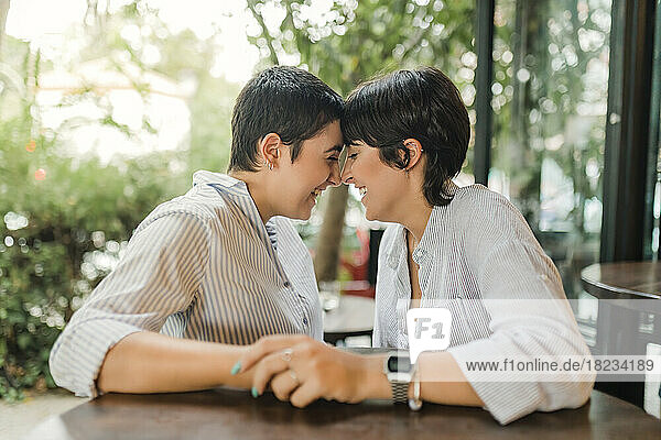 Glückliches lesbisches Paar  das sich im Café die Nase reibt