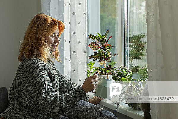 Woman watering house plants at the window