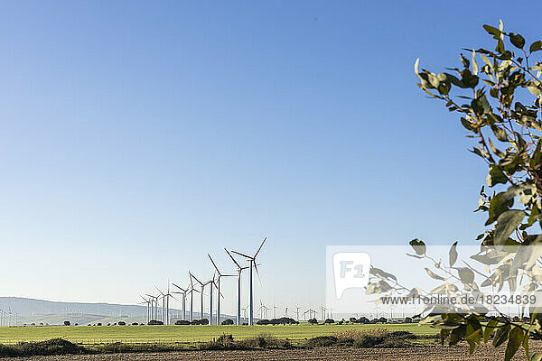 Windkraftanlagen auf dem Feld unter klarem Himmel im Kraftwerk