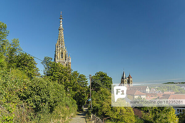 Germany  Baden-Wurttemberg  Esslingen  Spire of Frauenkirche church with green trees in foreground