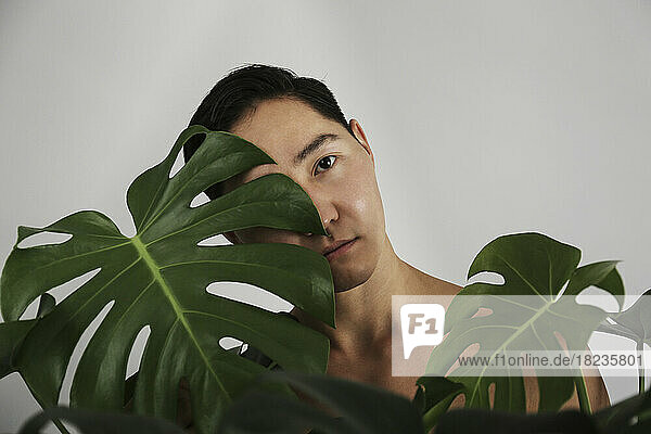 Shirtless young man behind Monstera leaves in front of wall