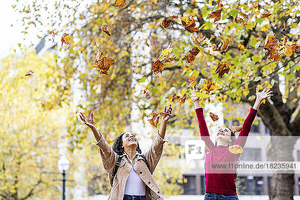 Happy young women throwing autumn leaves enjoying in park