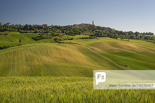 Italy  Tuscany  Pienza  Green rolling landscape of Val dOrcia
