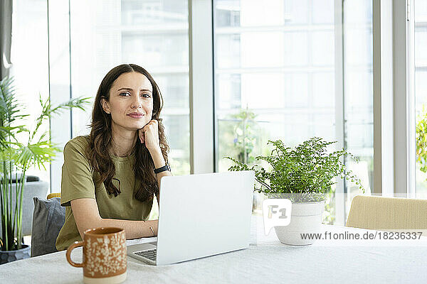 Smiling businesswoman sitting with laptop at home