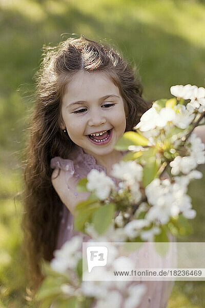 Happy cute girl plucking cherry blossom flowers in garden