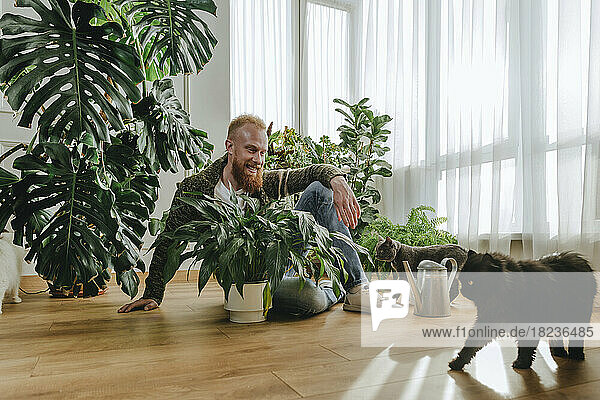 Smiling man sitting with plant looking at cat