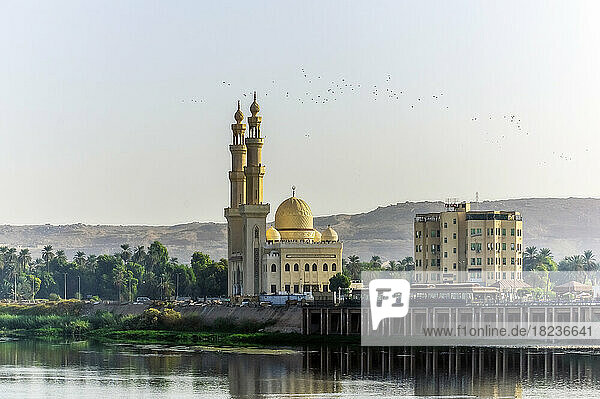 Egypt  Aswan Governorate  Aswan  Bank of Nile with El-Tabia Mosque in background