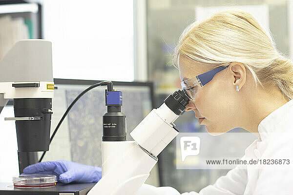 Scientist examining medical sample through microscope in laboratory