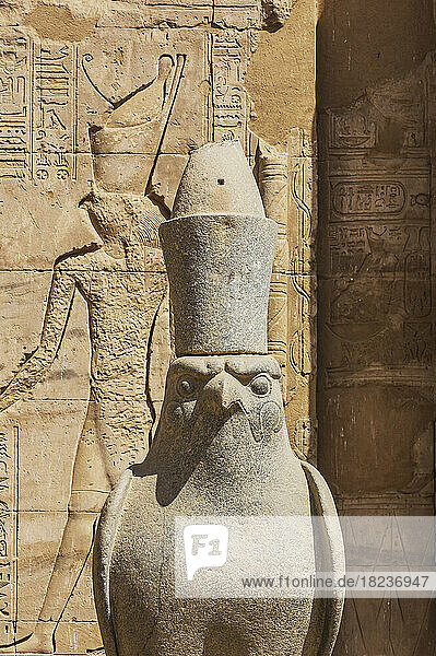 Egypt  Aswan Governorate  Edfu  Falcon sculpture at Temple of Edfu