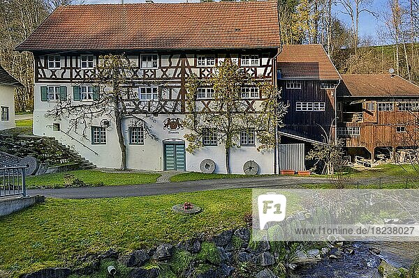 Fachwerkhaus mit Spalierbäumen  Neumühle bei Altusried  Allgäu  Bayern  Deutschland  Europa