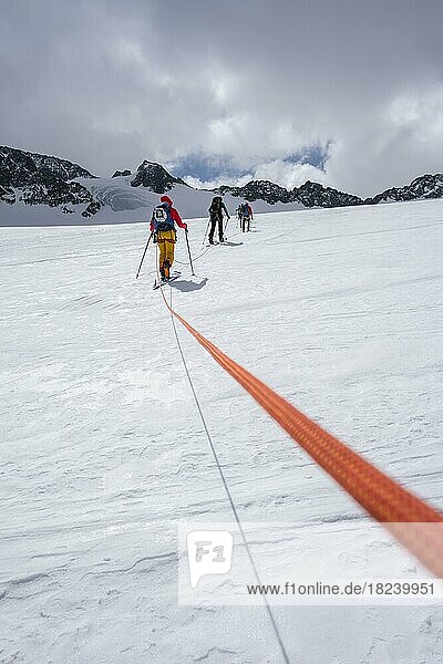 Hochtour  Skitourengeher am Seil gehen über Alpeiner Ferner Gletscher  Winter in den Bergen  Neustift im Stubaital  Tirol  Österreich  Europa