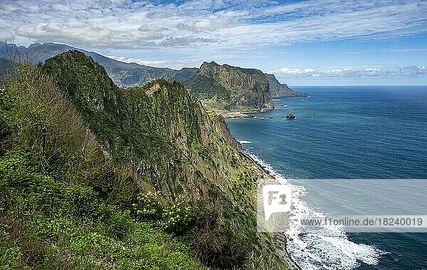 Ausblick auf steile felsige Küste und Meer  Küstenlandschaft  Wanderweg Vereda do Larano  Madeira  Portugal  Europa