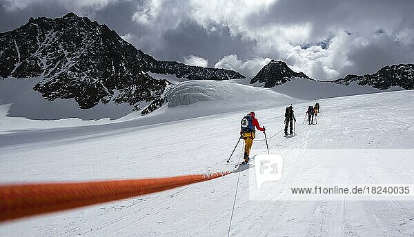 High altitude tour  ski tourers walking on a rope over Alpeiner Ferner glacier  winter in the mountains  Neustift im Stubai Valley  Tyrol  Austria  Europe
