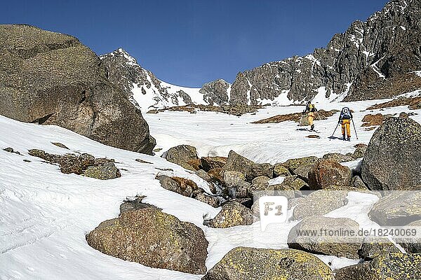 Skitourengeher am Aufstieg  Berge im Winter mit Schnee  Stubaier Alpen  Tirol  Österreich  Europa