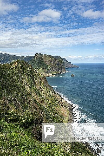 Ausblick auf steile felsige Küste und Meer  Küstenlandschaft  Wanderweg Vereda do Larano  Madeira  Portugal  Europa