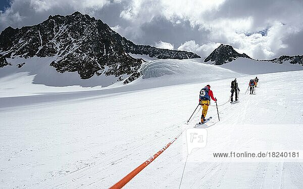 High altitude tour  ski tourers walking on a rope over Alpeiner Ferner glacier  winter in the mountains  Neustift im Stubai Valley  Tyrol  Austria  Europe