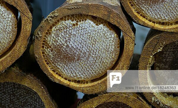 Honigwabe aus rundem Bienenstock mit süßem Honig