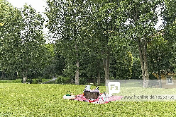 Picknickkorb Grasfeld  Auflösung und hohe Qualität schönes Foto