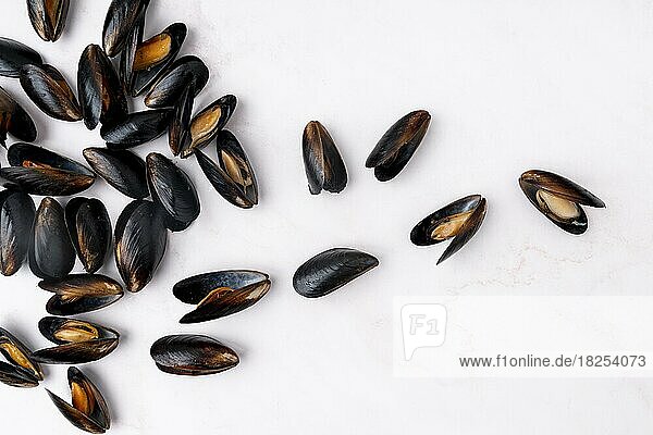 Verstreute mediterrane Muscheln flachgelegt  Auflösung und hohe Qualität schönes Foto