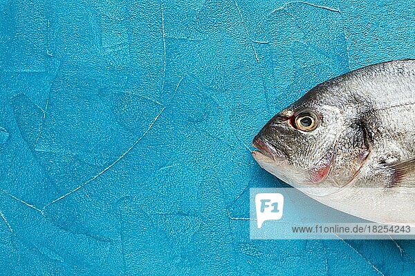Draufsicht Fisch blauer Hintergrund. Auflösung und hohe Qualität schönes Foto