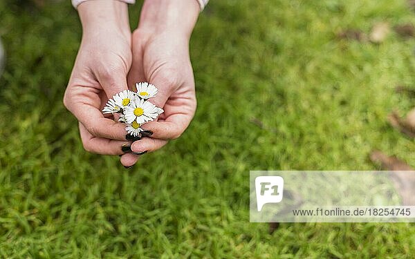 Frau mit kleinen weißen Blumen in der Nähe von Grasland. Auflösung und hohe Qualität schönes Foto