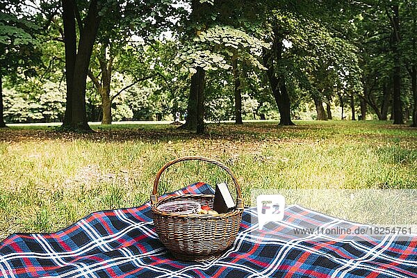 Weide Picknickkorb Decke Park. Auflösung und hohe Qualität schönes Foto