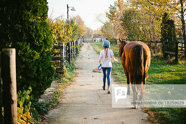 Girl walk horse down path between fields and fences in fall