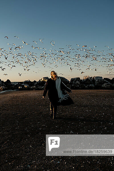 A young girl runs along the beach and a flock of seagulls scatter.