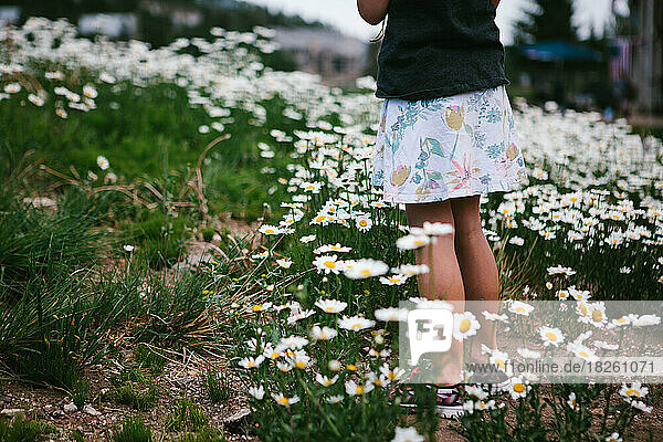Girl in floral skirt in middle of daisy flower field and green grass