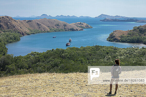Woman on a hill looking out the bay in Komodo National Park  Ind