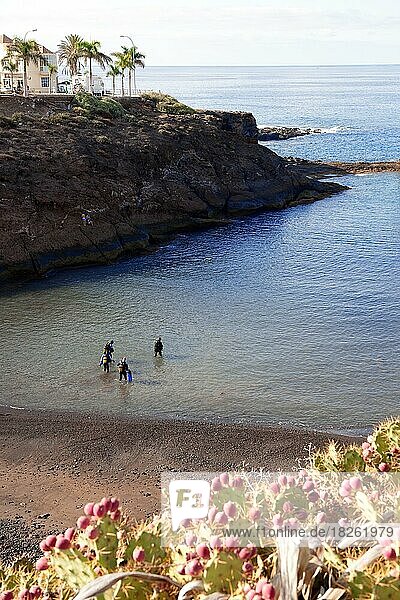 Taucher Sporttaucher mit Tauchgerät gehen von Land in schmale geschützte Bucht ins Wasser  Playa Paraíso  Adeje  Teneriffa  Kanarische Inseln  Spanien  Europa