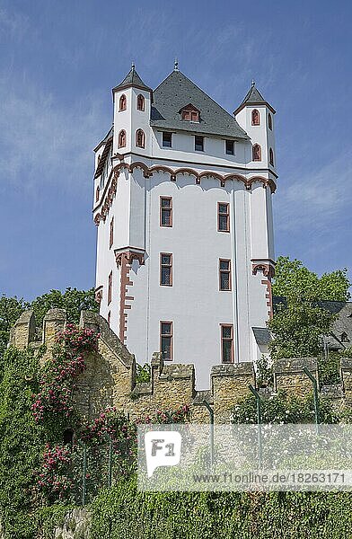 Wehrturm  Kurfürstliche Burg  Eltville  Hessen  Deutschland  Europa