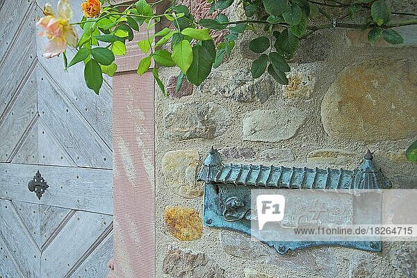 Türe mit dekoriertem Briefkasten und Rosen in der Burgstraße  Eltville  Rheingau  Taunus  Hessen  Deutschland  Europa