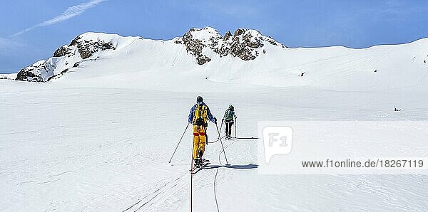 Ski tourers walking on the rope on the glacier  ascent on Berglasferner  behind summit Hinterer Wilder Turm  Stubai Alps  Tyrol  Austria  Europe