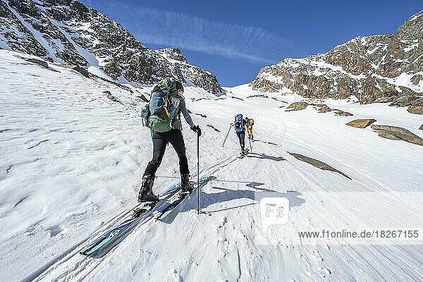 Ski tourers ascending the Berglasferner  Berglastal  Stubai Alps  Tyrol  Austria  Europe